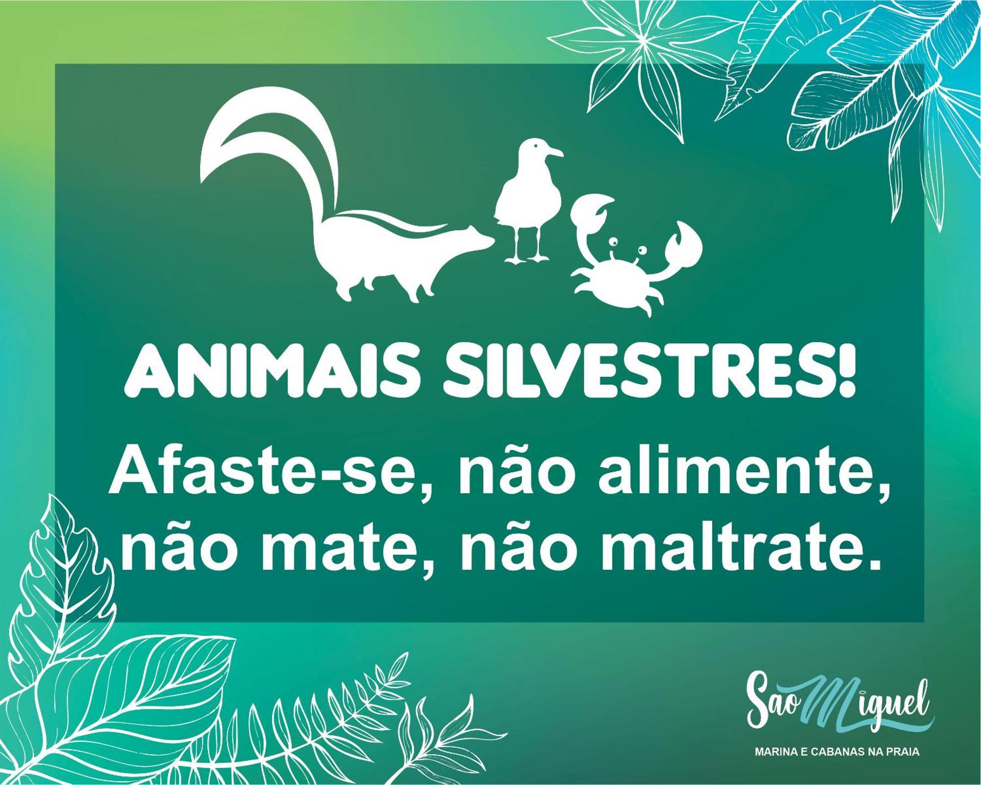 Cabanas Sao Miguel Penha  Ngoại thất bức ảnh